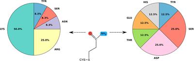 Molecular determinants of acrylamide neurotoxicity through covalent docking